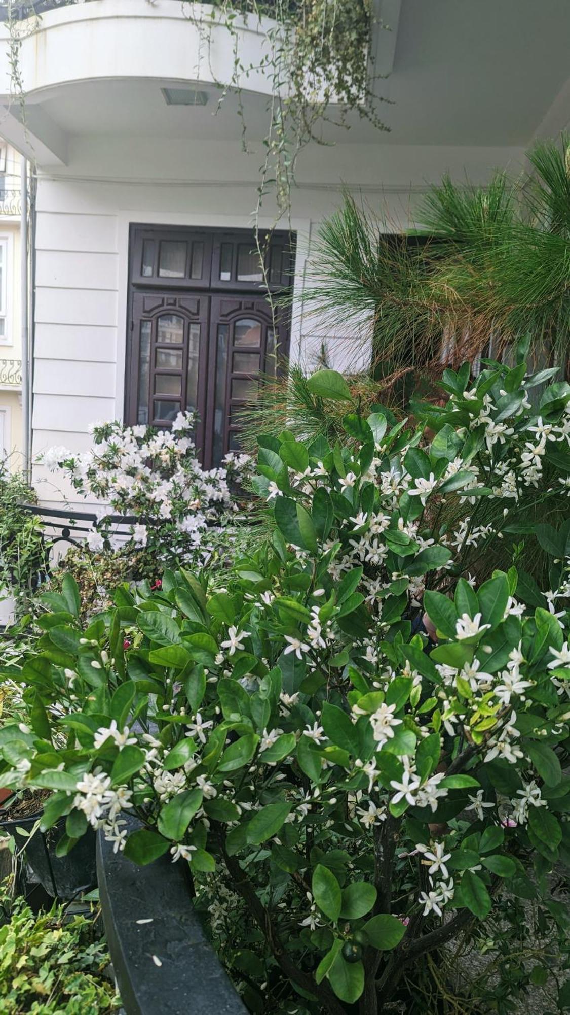 Wasabi House - Homestay Ben Cho Da Lat Exterior photo